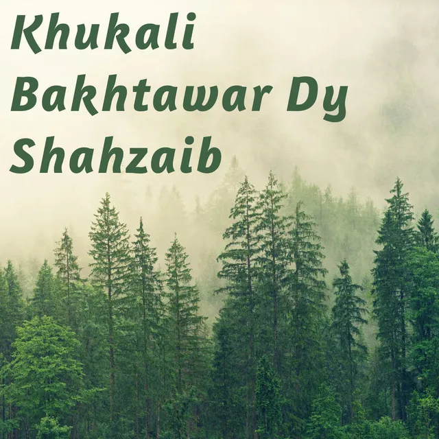 Khukali Bakhtawar Dy