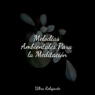 Melodías Ambientales Para la Meditación by Música para Dormir Con Relajantes Sonidos de la Naturaleza