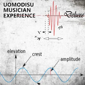 Musician Experience (Deluxe) by Uomodisu