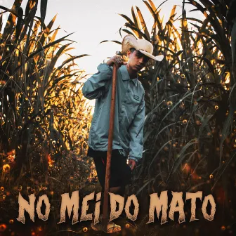 No Mei do Mato by EnivBeats