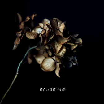 Erase Me by Seger Rauls