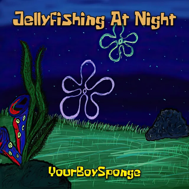 Jellyfishing At Night