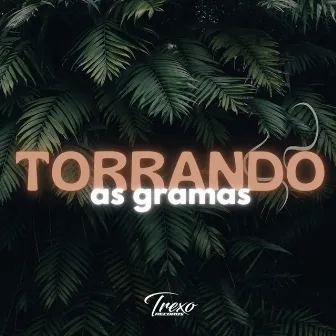 Torrando As Gramas by GUI PABLO