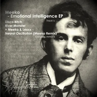 Emotional Intelligence EP by Meeko