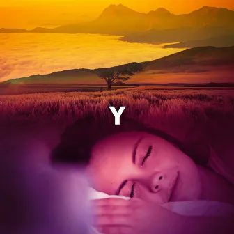 Y by Y