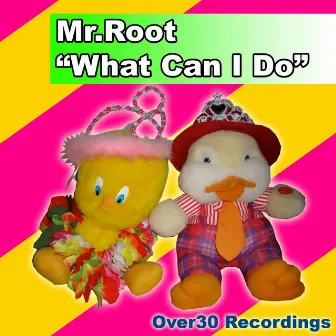 What Can I Do by Mr.Root