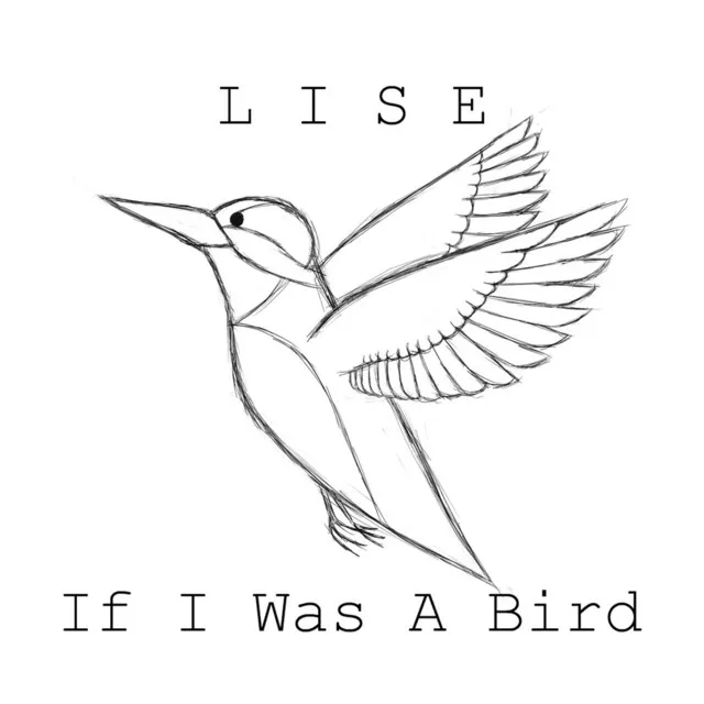 If I Was a Bird