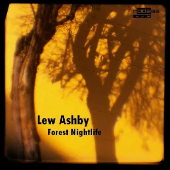 Forest Nightlife by Lew Ashby