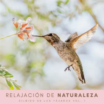 Relajación De Naturaleza: Silbido De Los Pájaros Vol. 1 by Latidos Binaurales Ondas Alfa