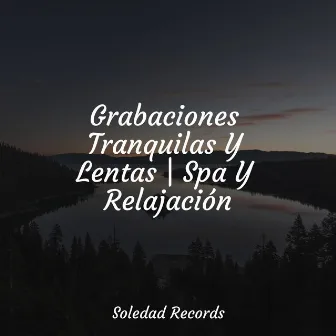 Grabaciones Tranquilas Y Lentas | Spa Y Relajación by Música Para Dormir Inspirada En El Espacio