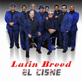 El Cisne by Latin Breed