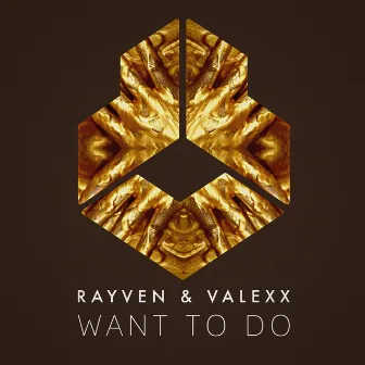 Want To Do by Rayven & Valexx