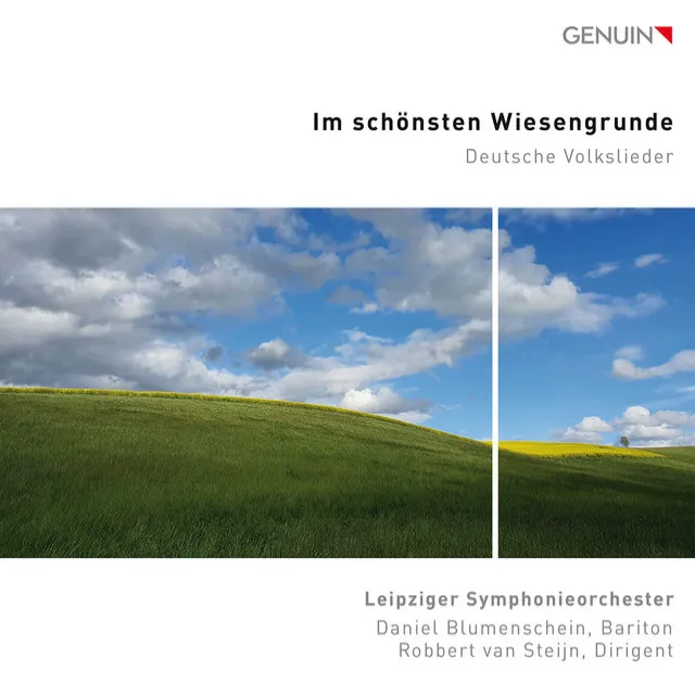 Kein schöner Land in dieser Zeit (Arr. S. König for Voice & Orchestra)