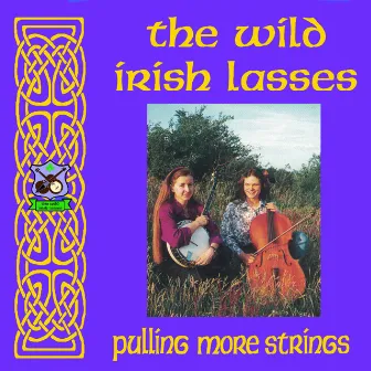 Pulling More Strings by The Wild Irish Lasses