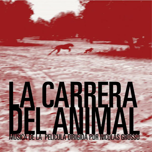 La Carrera del Animal