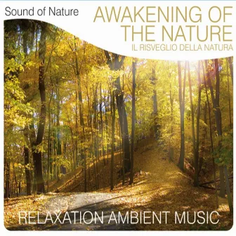 Awakening of the Nature by Sound of Nature Band