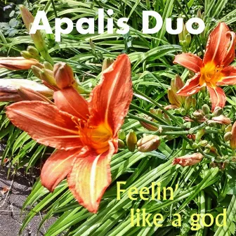 Feelin' Like a God by Apalis Duo