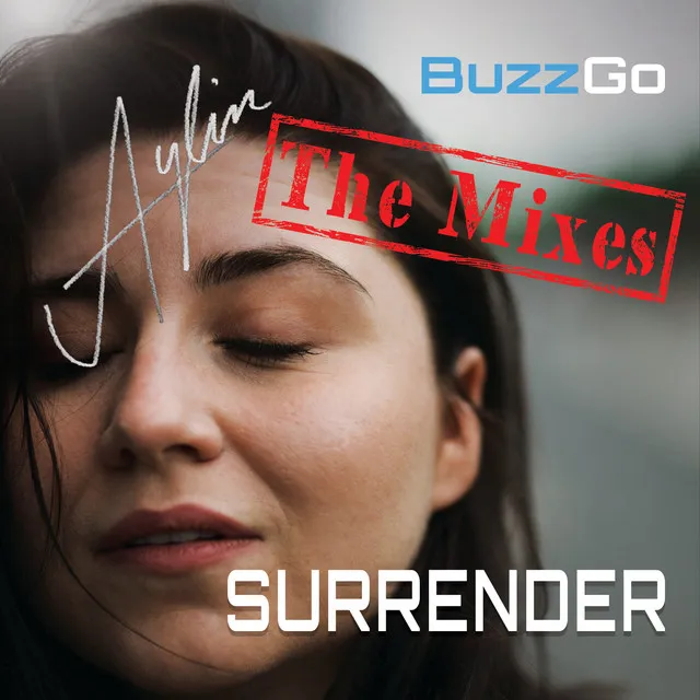 Surrender - Andestro Playlist Remix