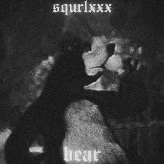 BEAR by Squrlxxx