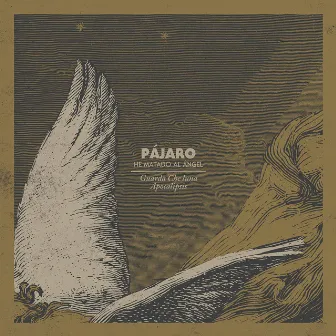 He Matado al Ángel by Pájaro