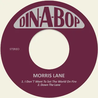 I Don´t Want to Set the World on Fire / Down the Lane by Morris Lane