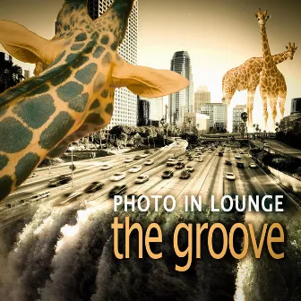 The Groove by Photo in Lounge