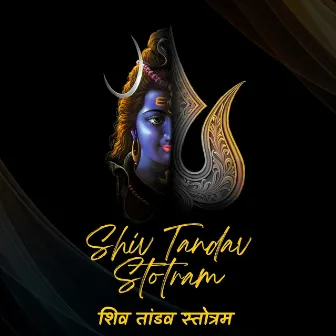 Shiv Tandav Stotram by Chetan Fefar