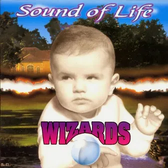 Sound of Life by Wizards