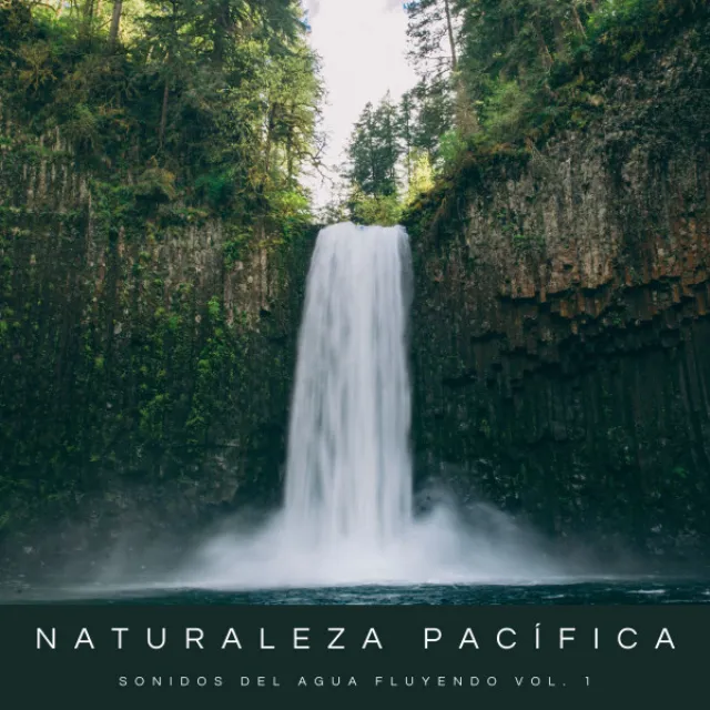 Naturaleza Pacífica: Sonidos Del Agua Fluyendo Vol. 1