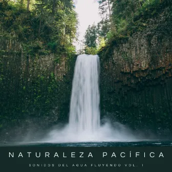 Naturaleza Pacífica: Sonidos Del Agua Fluyendo Vol. 1 by Meditación Trascendental