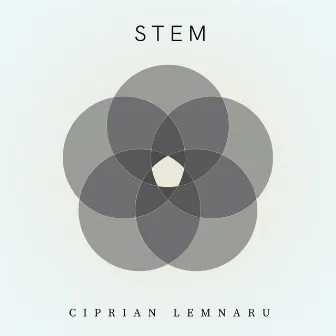 Stem by Ciprian Lemnaru