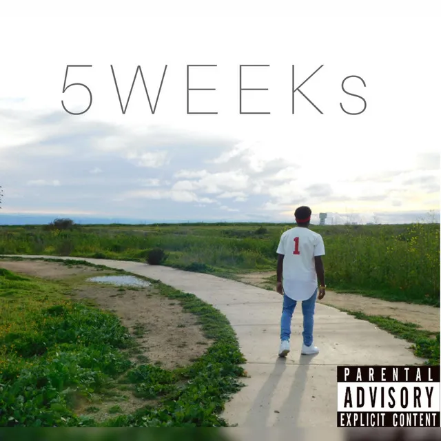 5 Weeks