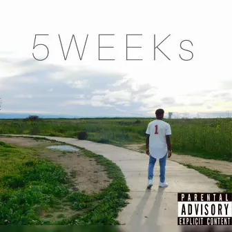 5 Weeks by 1mokie