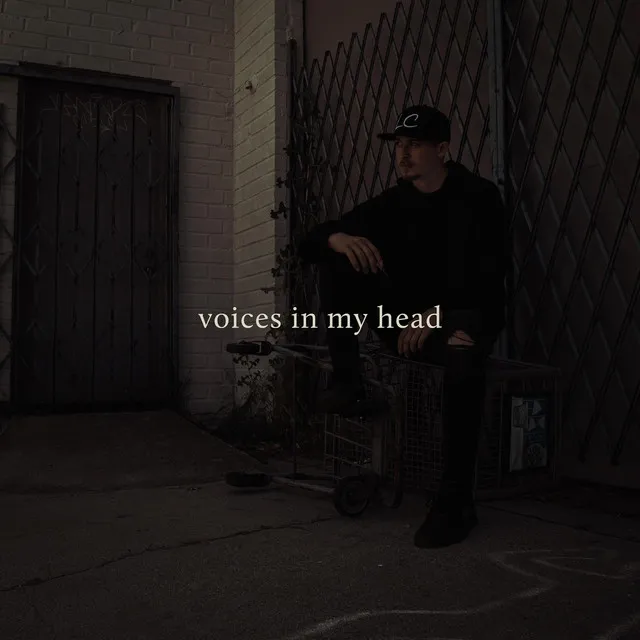 Voices in My Head