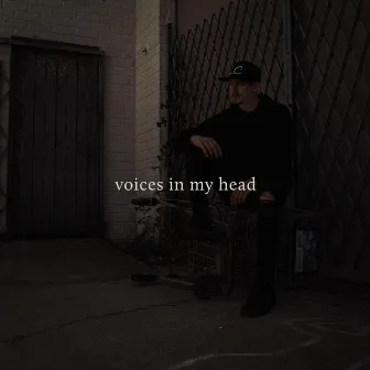 Voices in My Head by LC