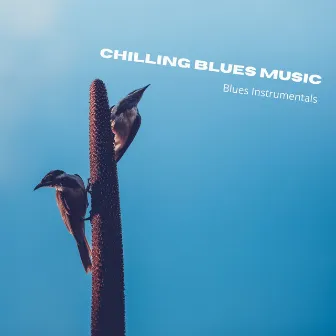 Chilling Blues Music by Blues