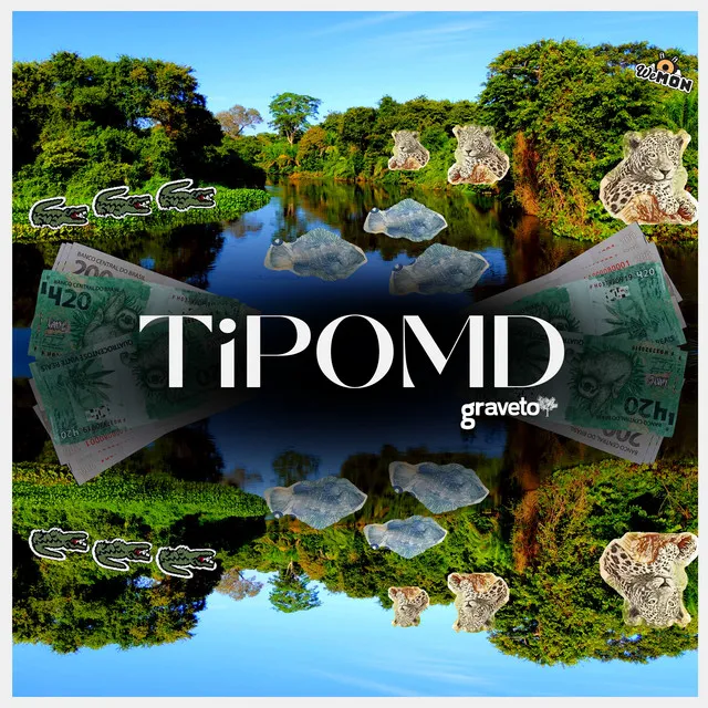 Tipomd