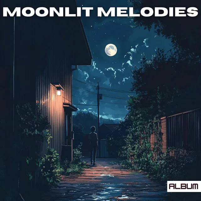 LoFi Music - Moonlit Melodies - Calming Ambient LoFi Hip Hop Music for Meditation & Reflection