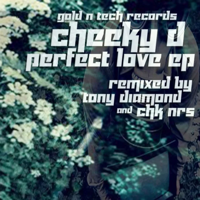 Perfect Love - Original Mix