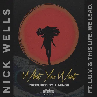 What You Want by Nick Wells