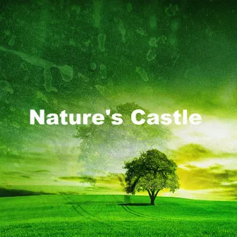 Nature's Castle by Nature Caldwell