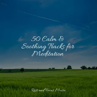 50 Calm & Soothing Tracks for Meditation by Música para Relaxar Maestro