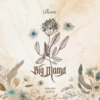 Born (本) by BIG MAMA