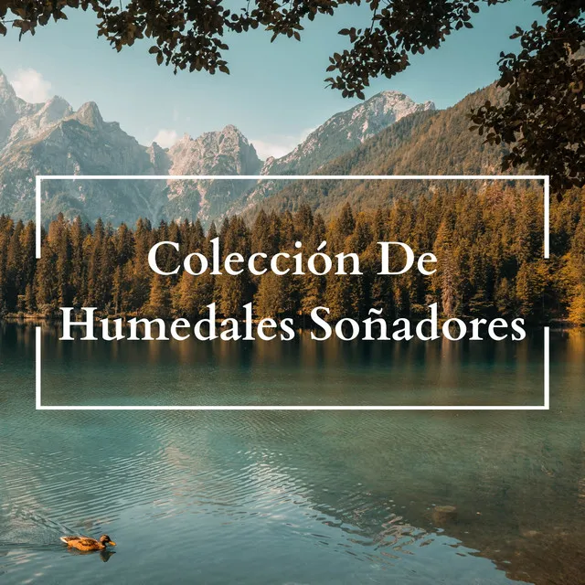 Colección De Humedales Soñadores