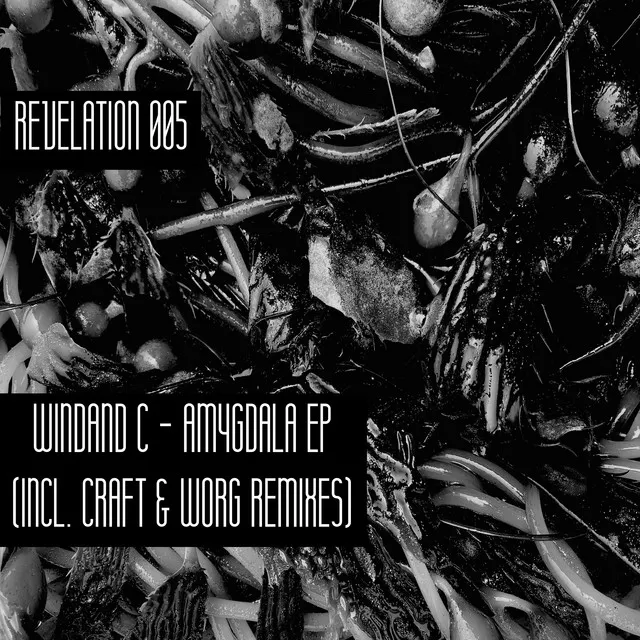 Stimulated Emission - Worg Reshape