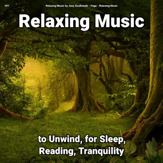 #01 Relaxing Music to Unwind, for Sleep, Reading, Tranquility by Relaxing Music by Joey Southwark