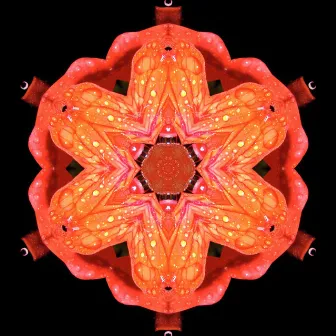 417 Hz Sacral Chakra by Dante Flowwell