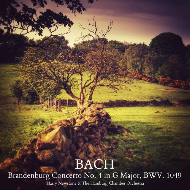 Bach: Brandenburg Concerto No. 4 in G Major, BWV. 1049