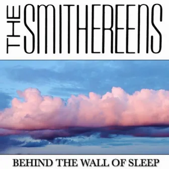 Behind the Wall of Sleep (Live) by The Smithereens