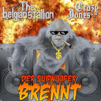 Der Subwoofer brennt! by Crazy Jones